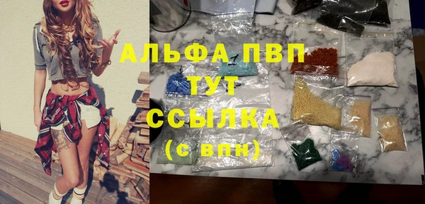 сатива Надым
