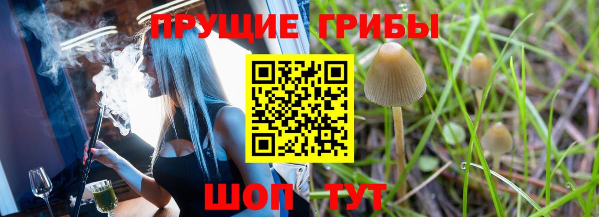 Псилоцибиновые грибы прущие грибы Острогожск