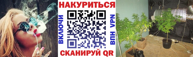 мориарти как зайти  omg ссылка  Острогожск  Бошки марихуана ГИДРОПОН 